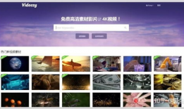 免费视频素材,创意无限，轻松打造视觉盛宴